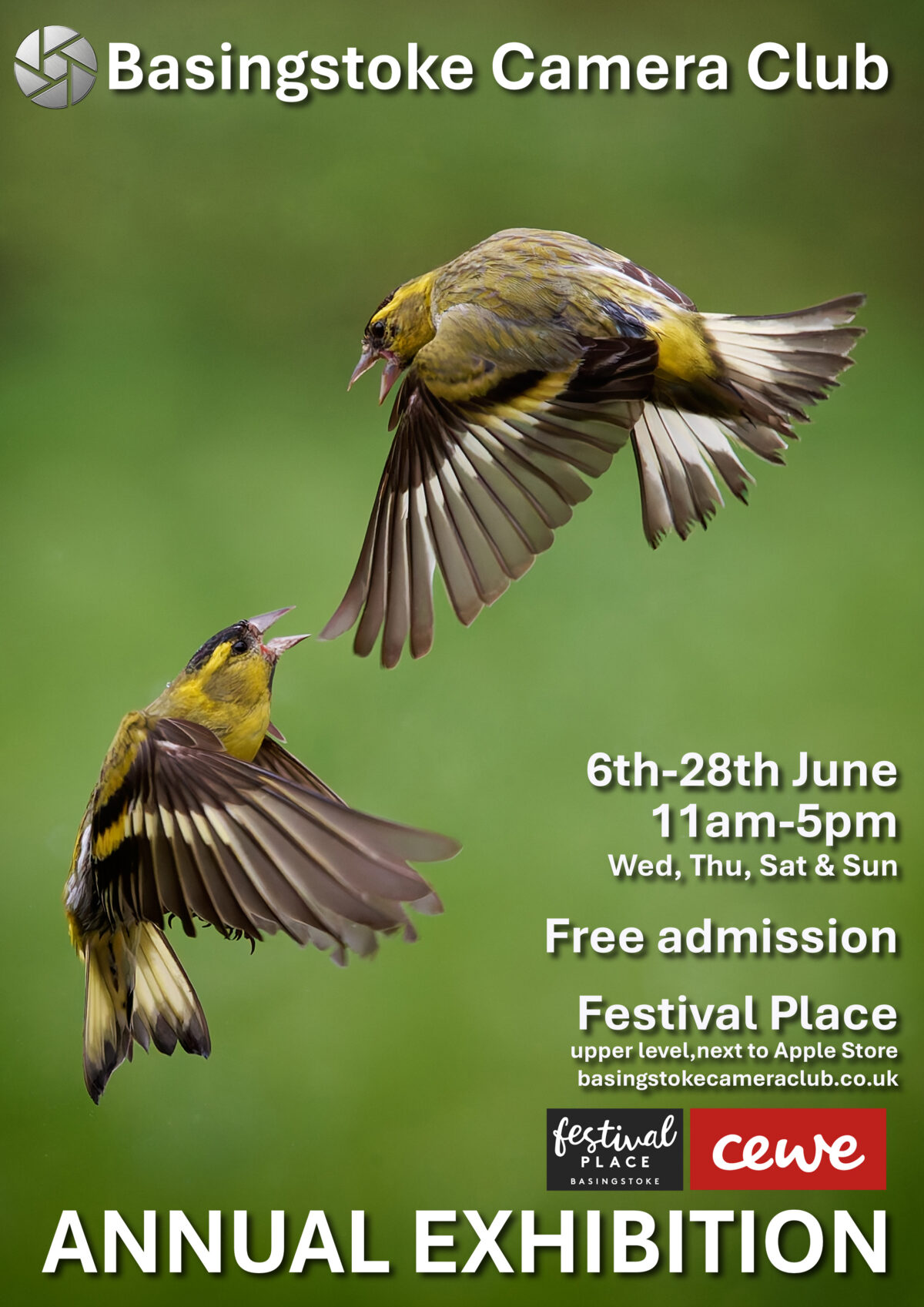 Siskin-Poster-A4-copy-1200x1697.jpg