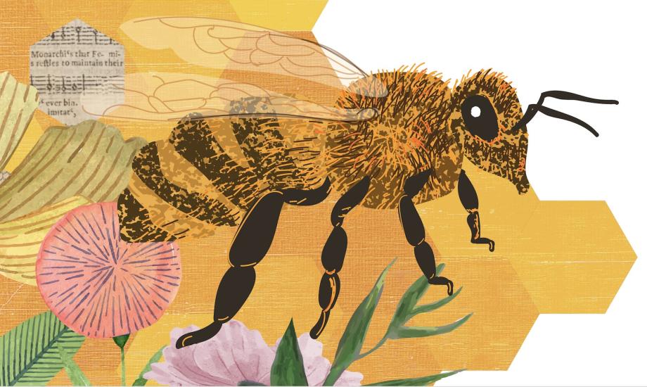 Thursday-23-April-Willis-Museum-Bee.jpg