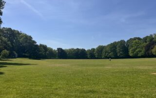 A green park