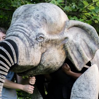 An elephant puppet with the head being led by a person.