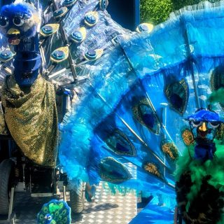 PP la Plume_20260429_130448160_HDR~2