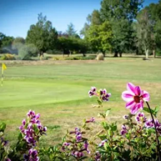 An image of Bishopswood Golf Course, on the green, with some purple flowers surrounding it
