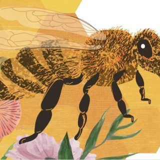 Artwork of a bee from the Willis Museum